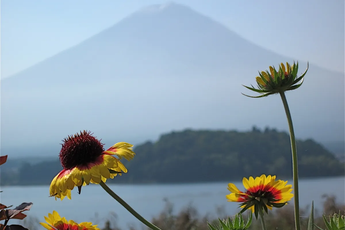 Photo de Japon