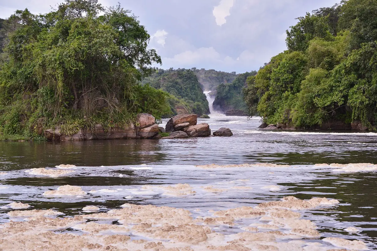 Photo de Ouganda